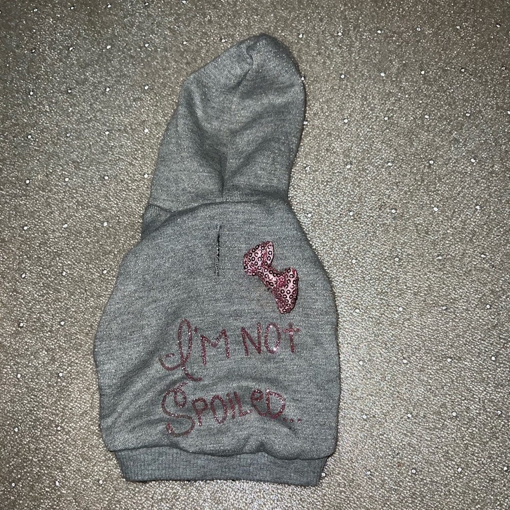 Dog Hoodie